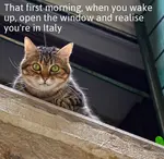 Near the Colosseum of Rome, between the ruins of ancient temples, is an unlikely sort of place, a shelter for cats. Here, Rome's homeless cats are...