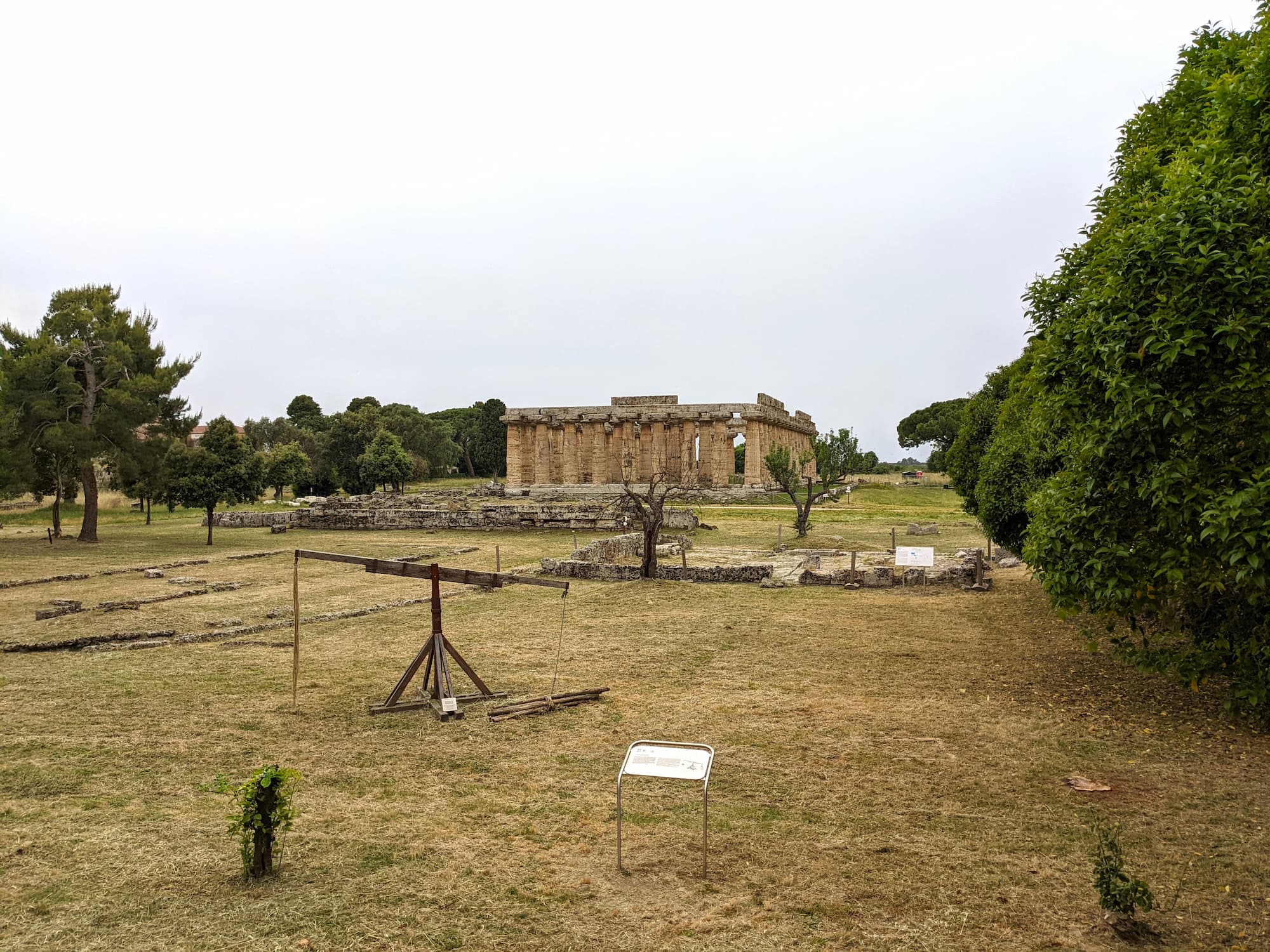 A view of the first Temple of Hera, Paestum