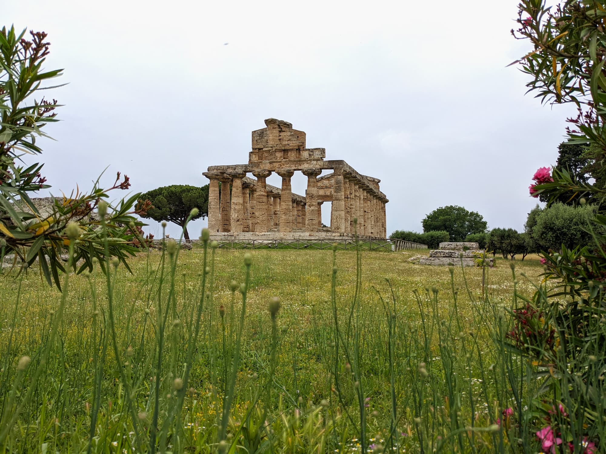 View of the Temple of Athena, Paestum