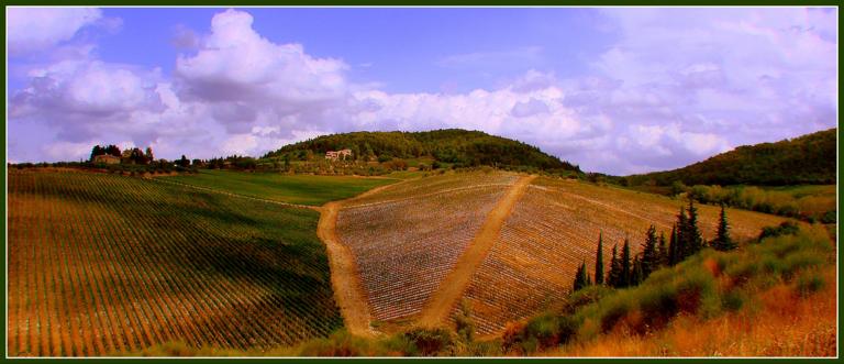 A Tuscan Landscape