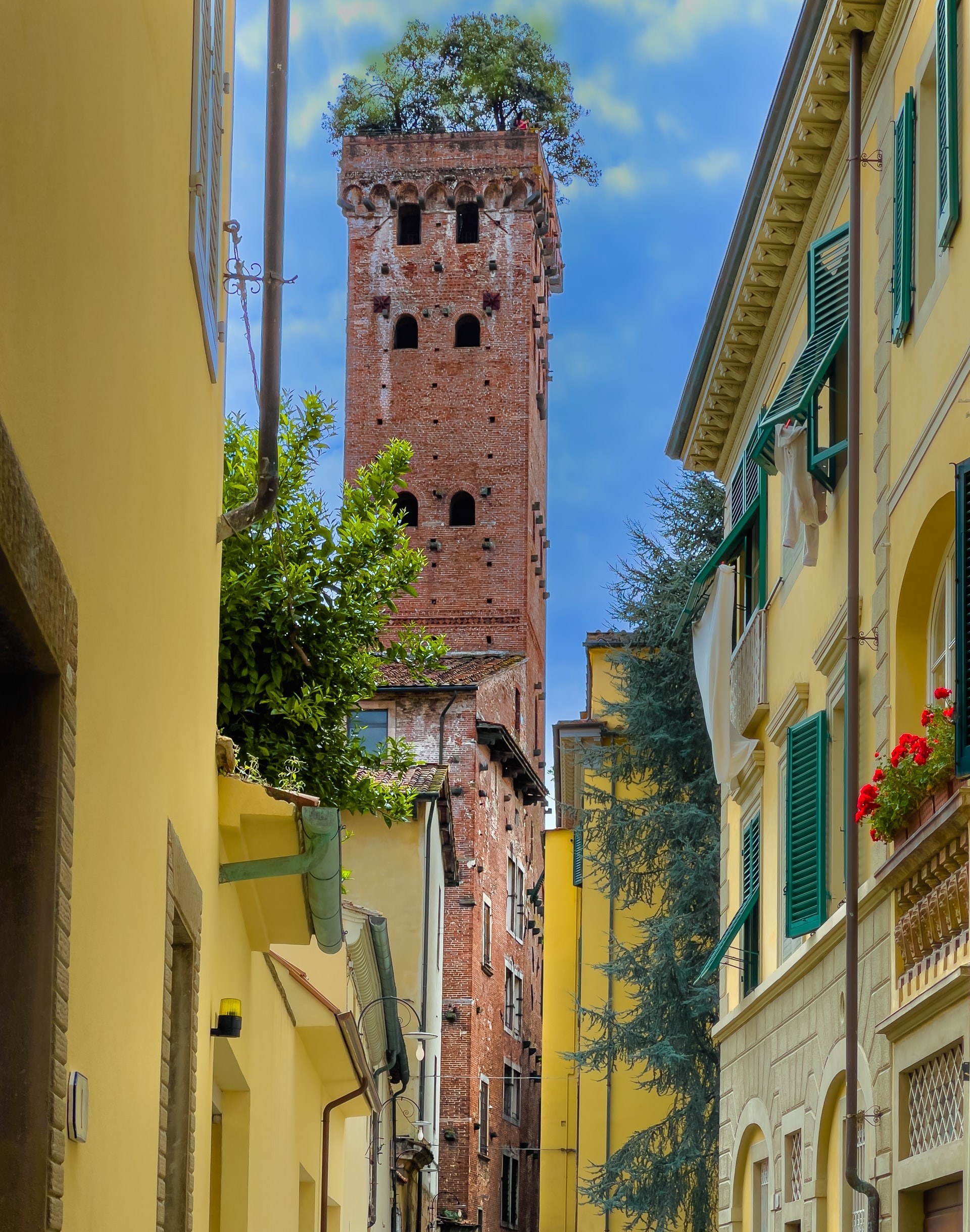 The Guinigi Tower in Lucca