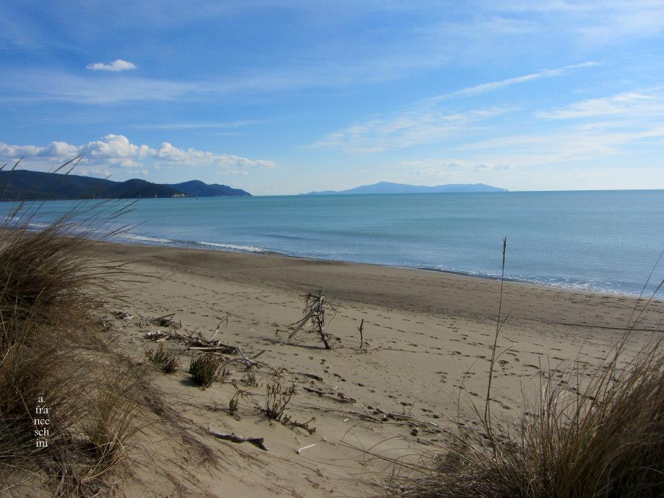 Maremma Beaches 