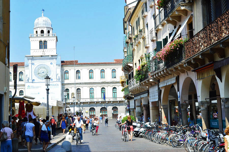 Bicycles in Padua