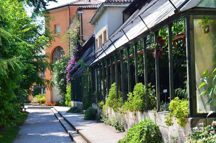Greenhouse Botanical Gardens of Padova