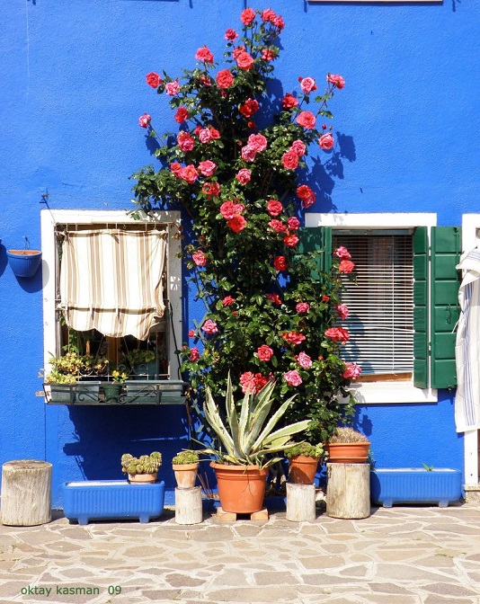 Burano blue house 