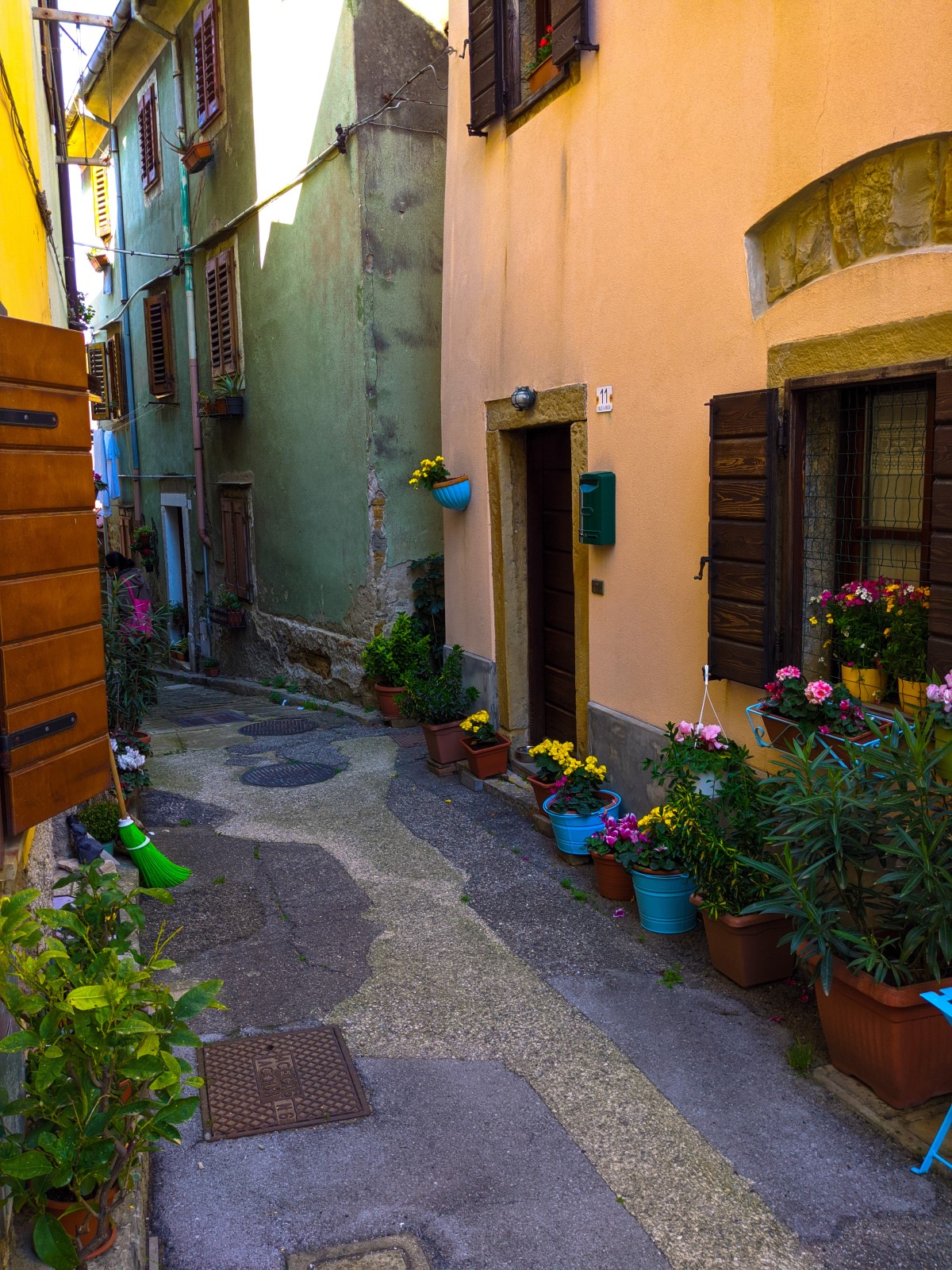 Country lane with flowers in Muggia