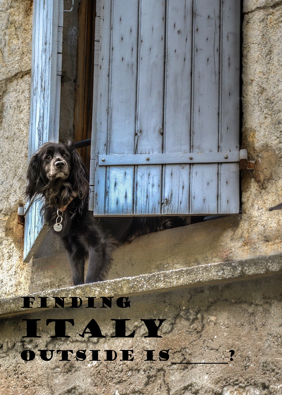 Dog in Italy