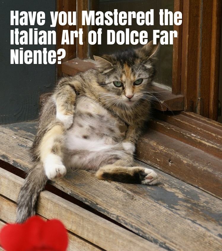 Cat - Dolce Far Niente