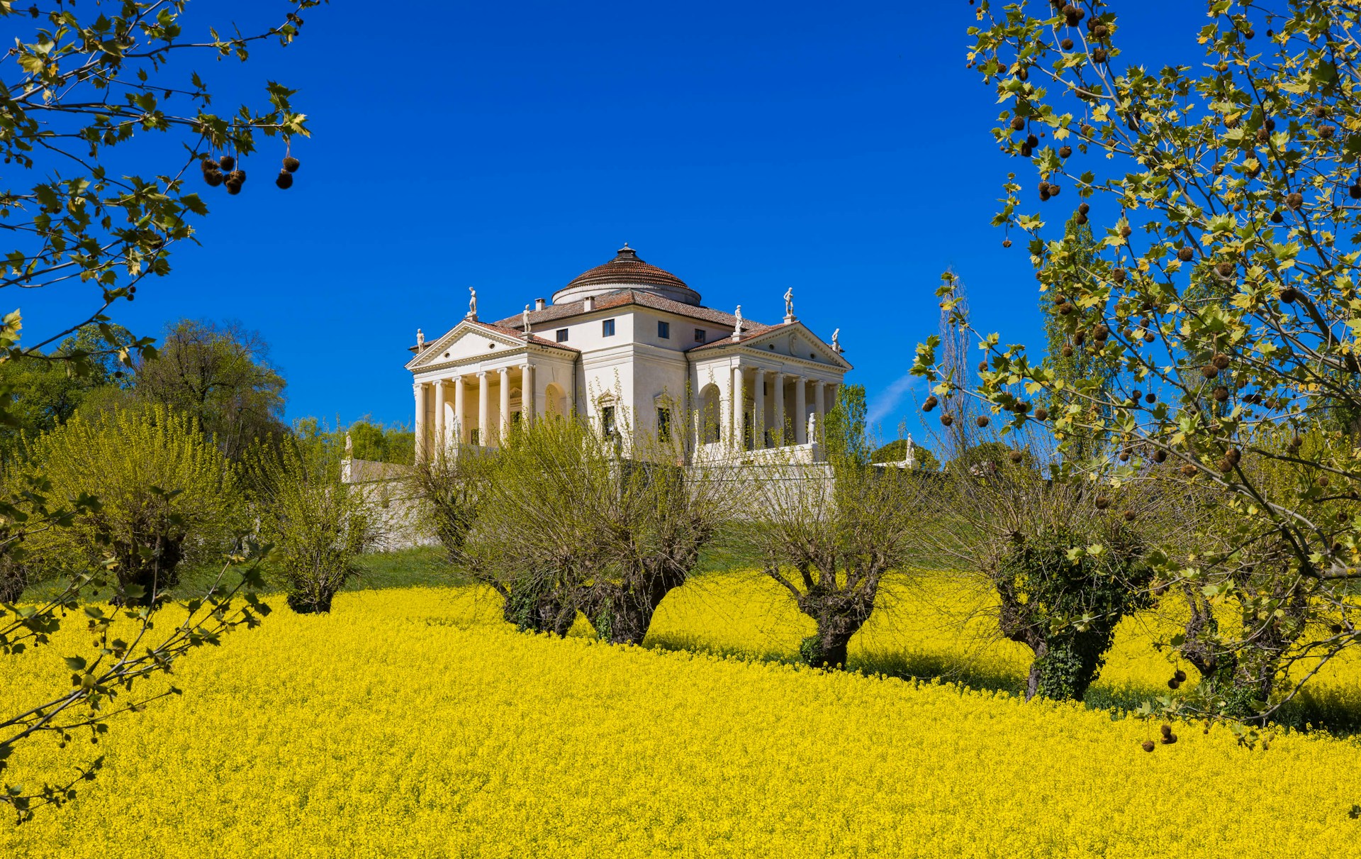 Villa Rotonda  by Palladio in Vicenza Villa Rotonda  by Palladio in Vicenza