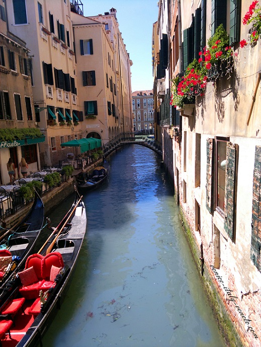 Flower Boxes along Venetian Canal