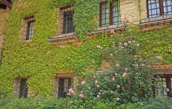 Flower covered house