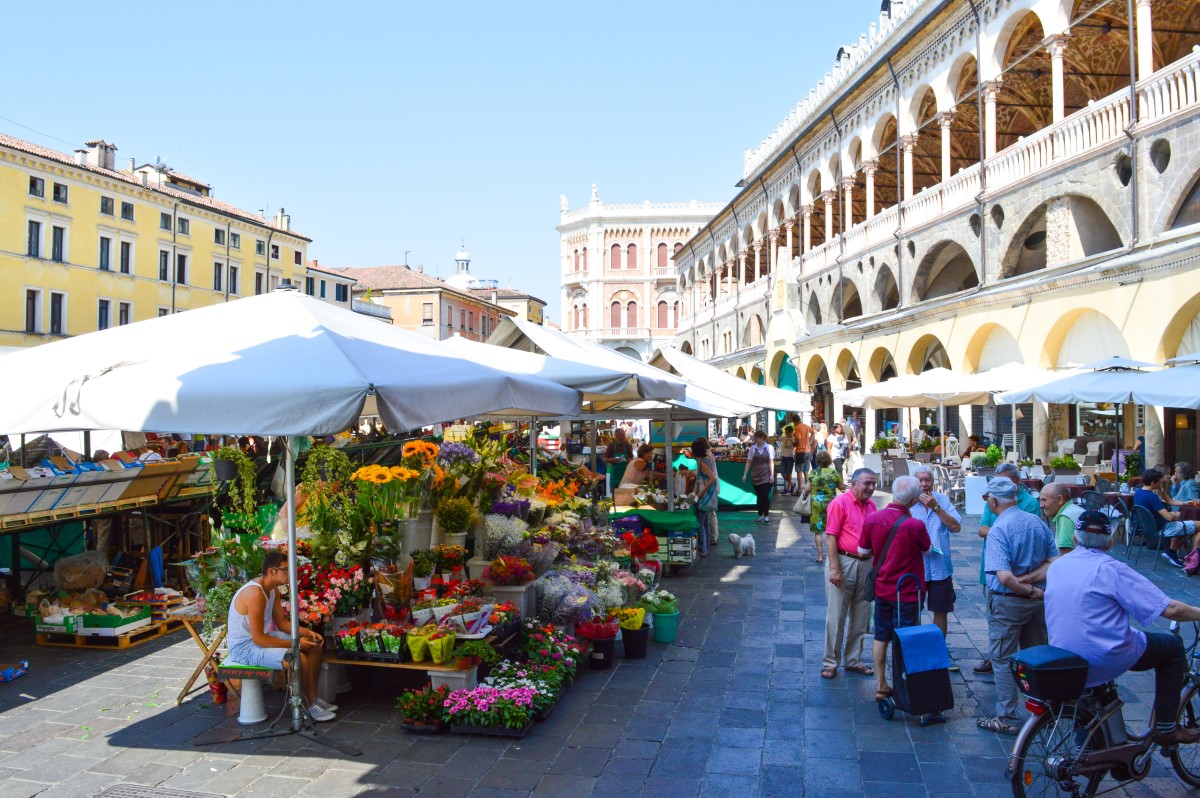 Padua Italy, known as Padova in Italian, has to be one of the loveliest of all Italian cities. 