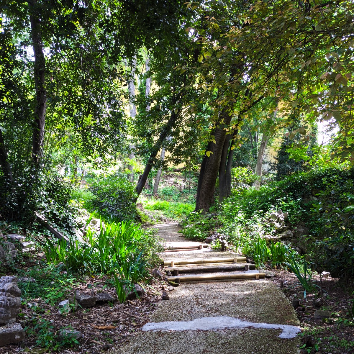 Giardino di Via San Michele