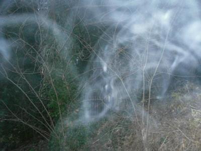 The  second shot of the castle gate. Click , if you dare, for a larger image