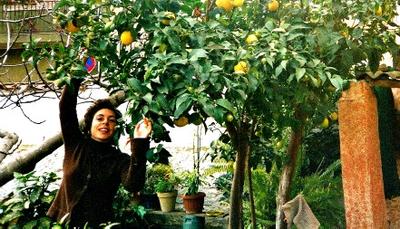 Scenery, People and Food of Italy 