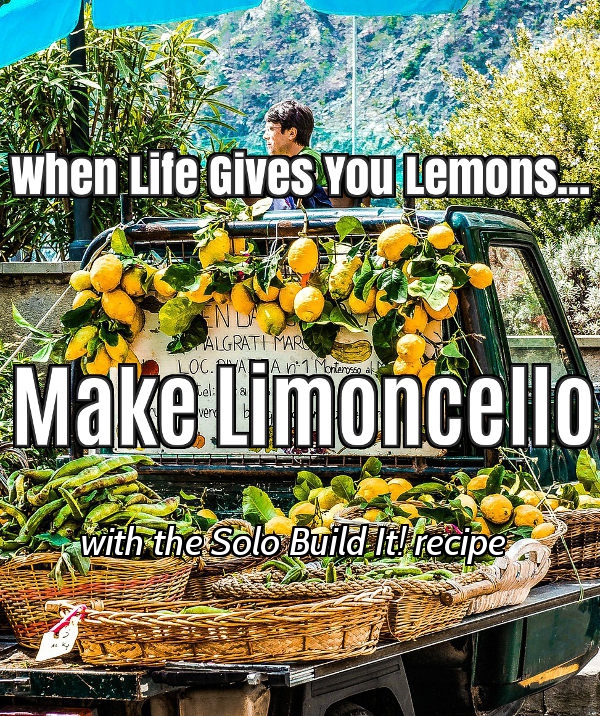 Solo Build It! turned my life of lemons into Limoncello