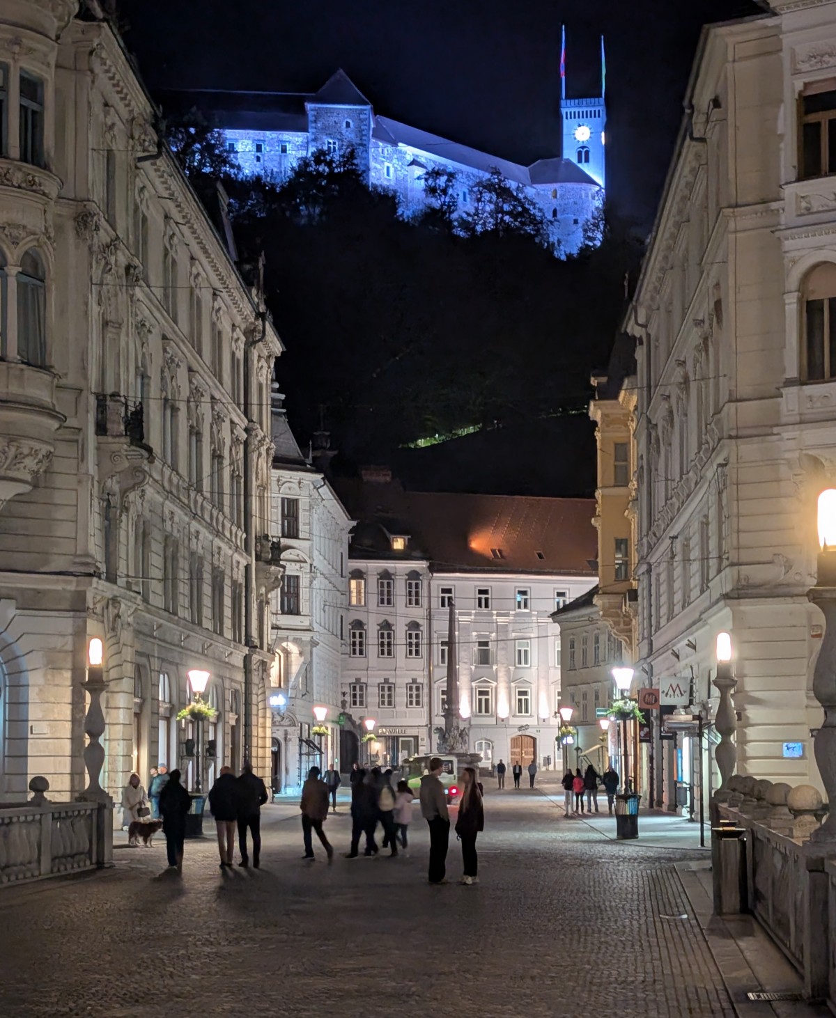 Castle in Ljubljana at night