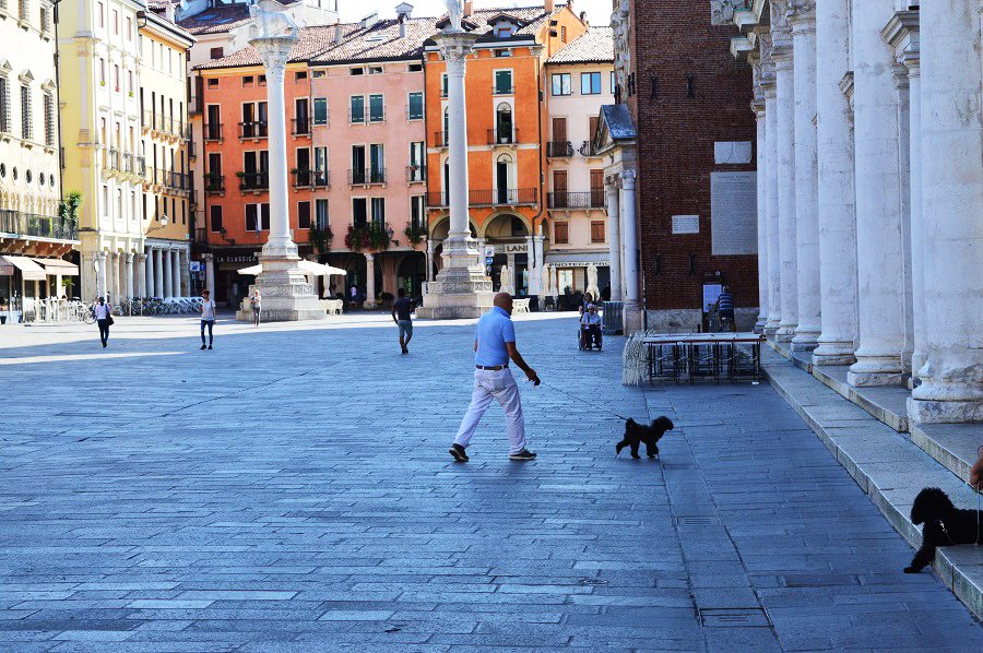 Piazza dei Signori, Vicenza