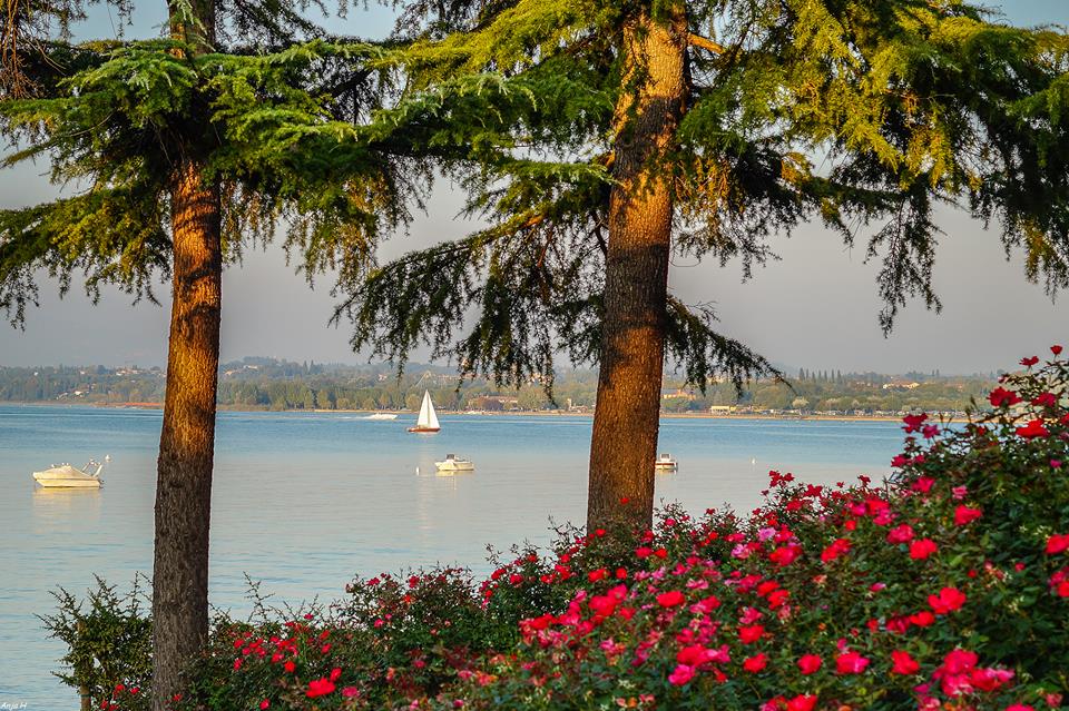 Peschiera Garda Lake Gardasee - photo by Anja