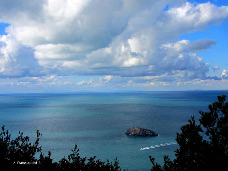 Boats of Santo Stefano 