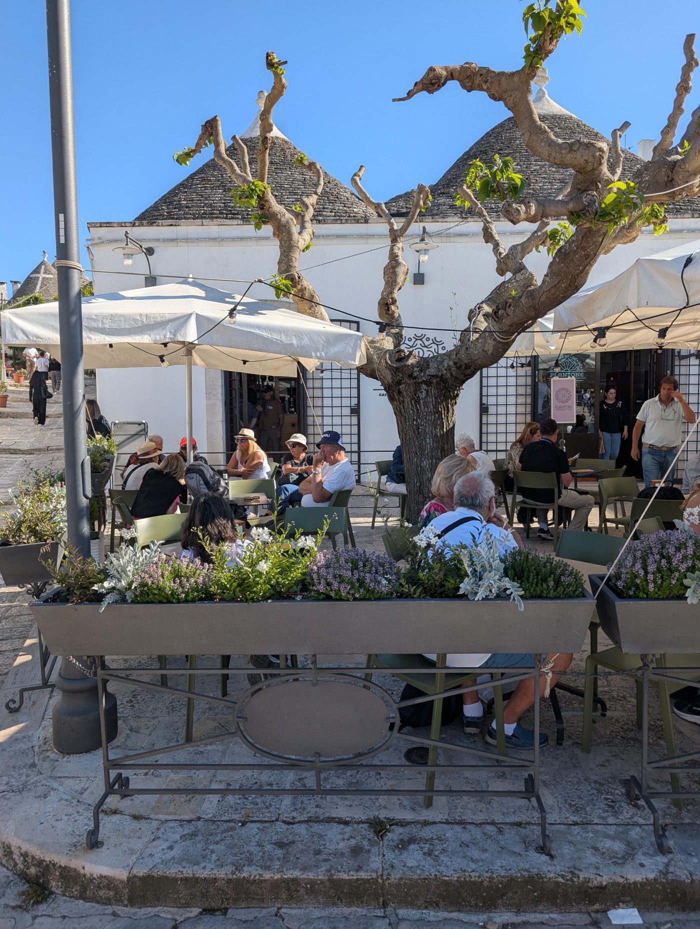 Restaurant in Alberobello Restaurant in Alberobello