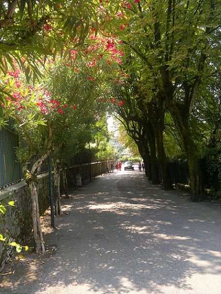 Road near Sirmione