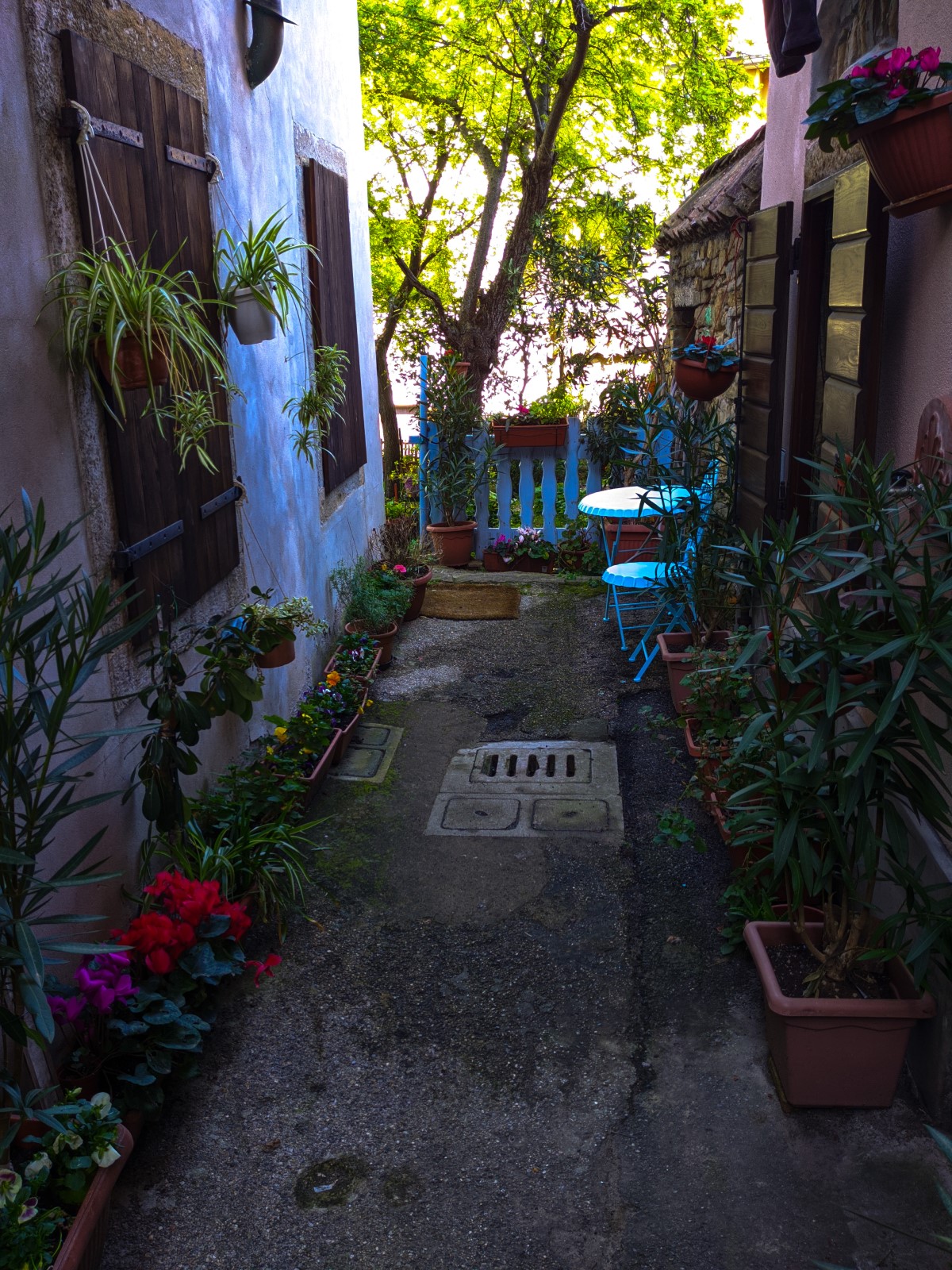 Secret garden in Muggia