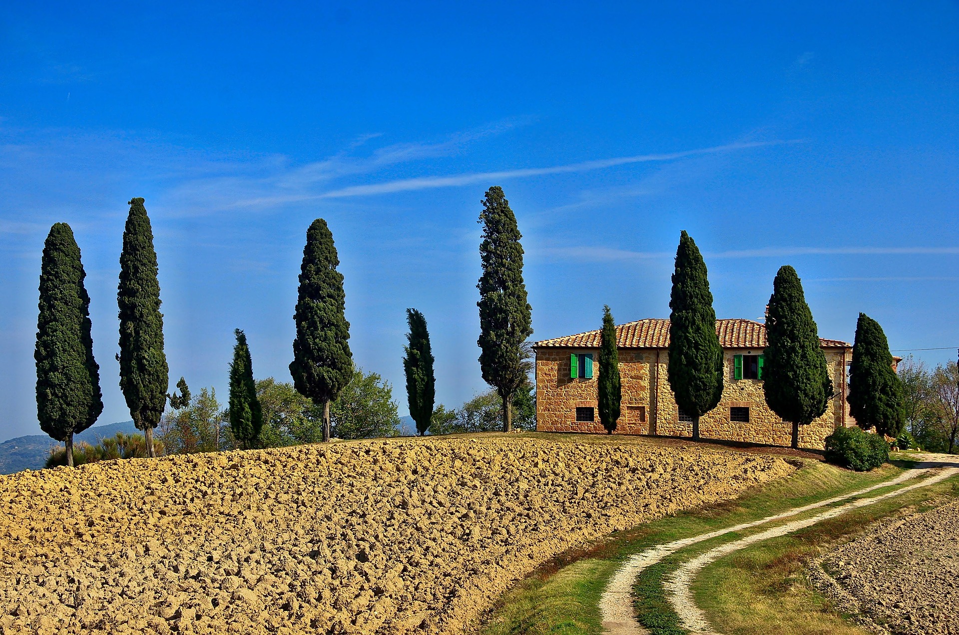 Tuscan Fields in summer Tuscan Fields in summer