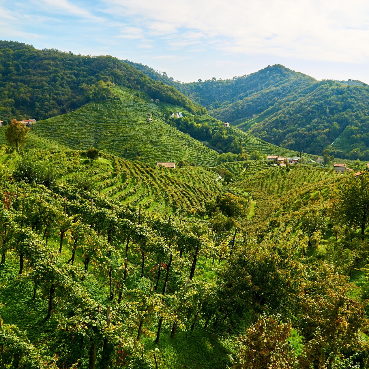 Prosecco Wine Route near Venice