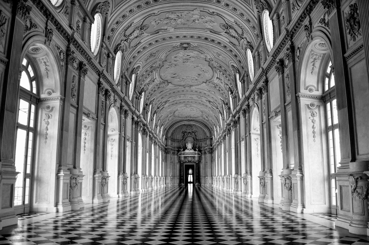 The Palace of Venaria